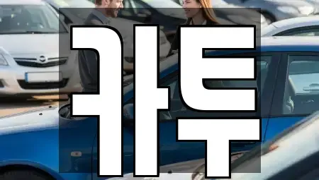 경기도 고양시 일산동구 정발산동 장기렌트카 전문 카투