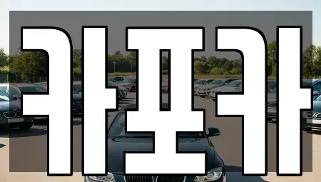 경기도 고양시 일산동구 정발산동 장기렌트카 전문 카포카