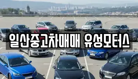 경기도 고양시 일산동구 정발산동 중고차 전문 일산중고차매매 유성모터스