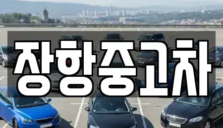 경기도 고양시 일산동구 정발산동 중고차 전문 장항중고차