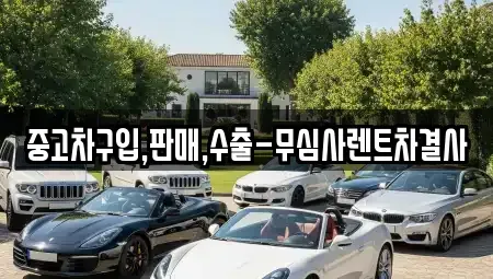 경기도 고양시 일산동구 정발산동 중고차 전문 중고차구입,판매,수출-무심사렌트차결사