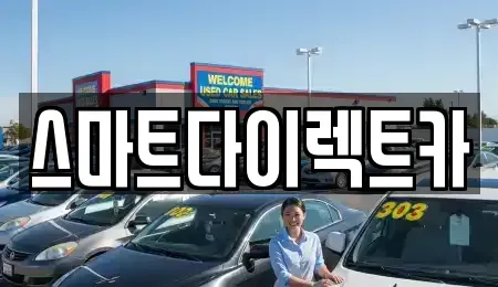 경기도 성남시 수정구 복정동 장기렌트카 전문 스마트다이렉트카