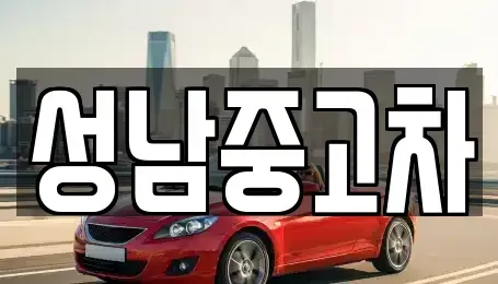 경기도 성남시 수정구 복정동 중고차매매 전문 성남중고차