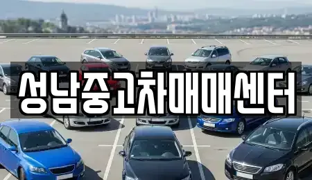 경기도 성남시 수정구 복정동 중고차매매,단기렌트카,중고차매입,장기렌트카,중고차,렌트카