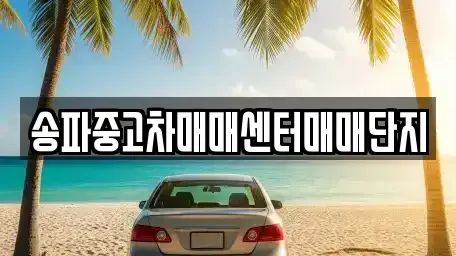 경기도 성남시 수정구 복정동 중고차매매 전문 송파중고차매매센터매매단지