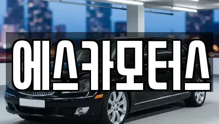 경기도 성남시 수정구 복정동 중고차매매 전문 에스카모터스