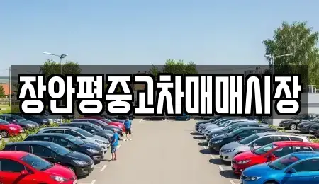 경기도 성남시 수정구 복정동 중고차매매 전문 장안평중고차매매시장