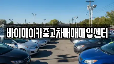 경기도 성남시 수정구 복정동 중고차매입 전문 바이마이카중고차매매매입센터