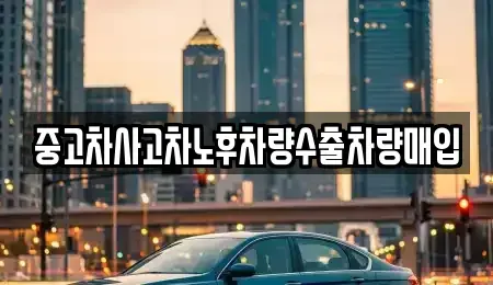 경기도 성남시 수정구 복정동 중고차매입 전문 중고차사고차노후차량수출차량매입
