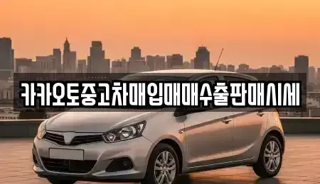 경기도 안성시 사곡동 중고차 전문 카카오토중고차매입매매수출판매시세