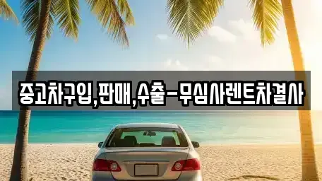 경기도 양주시 마전동 중고차매매 전문 중고차구입,판매,수출-무심사렌트차결사