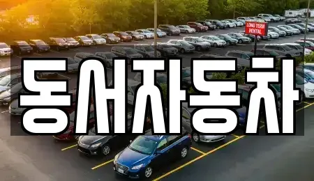 경남 창원시 마산합포구 월남동2가 중고차 전문 동서자동차