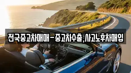 경남 창원시 마산합포구 월남동2가 중고차 전문 전국중고차매매-중고차수출,사고노후차매입