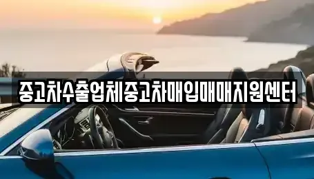 경남 창원시 마산합포구 월남동2가 중고차 전문 중고차수출업체중고차매입매매지원센터