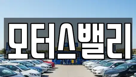 경상남도 창원시 마산회원구 양덕동 중고차 전문 모터스밸리