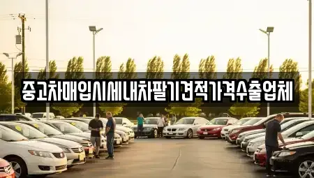 경상남도 창원시 마산회원구 양덕동 중고차매입 전문 중고차매입시세내차팔기견적가격수출업체