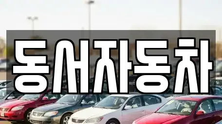 경상남도 창원시 의창구 소계동 중고차매매 전문 동서자동차
