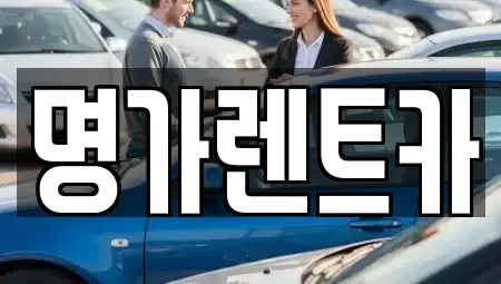 경상북도 포항시 북구 덕수동 렌트카 전문 명가렌트카
