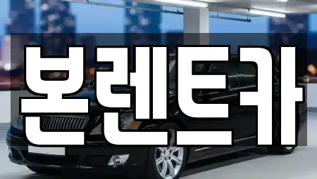 광주광역시 북구 신안동 장기렌트카 전문 본렌트카