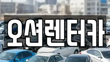 광주광역시 북구 신안동 장기렌트카 전문 오션렌터카