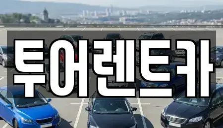 광주광역시 북구 신안동 장기렌트카 전문 투어렌트카