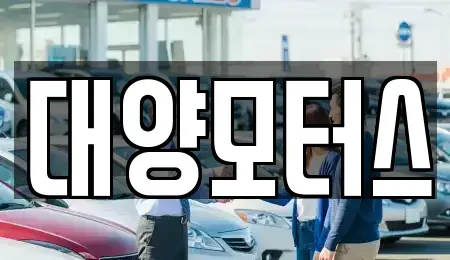 광주광역시 북구 신안동 중고차 전문 대양모터스