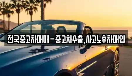 광주광역시 북구 신안동 중고차 전문 전국중고차매매-중고차수출,사고노후차매입