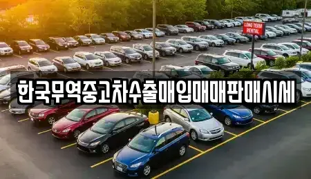 광주광역시 북구 신안동 중고차 전문 한국무역중고차수출매입매매판매시세
