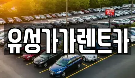 대전 유성구 자운동 렌트카 전문 유성가가렌트카