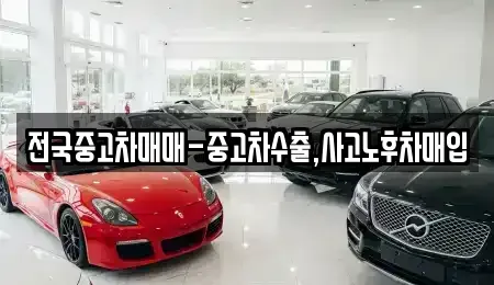 대전 유성구 자운동 중고차매입 전문 전국중고차매매-중고차수출,사고노후차매입