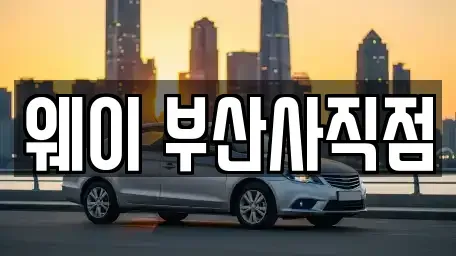 부산 동래구 렌트카 전문 웨이 부산사직점