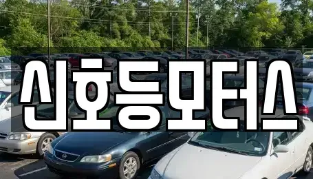 부산 동래구 복천동 중고차 전문 신호등모터스