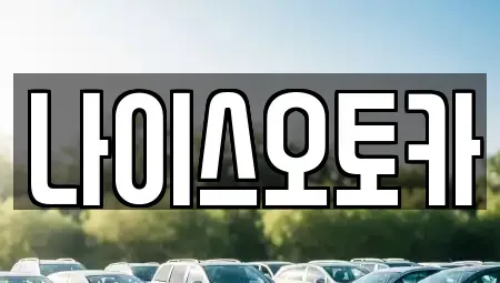부산 동래구 장기렌트카 전문 나이스오토카