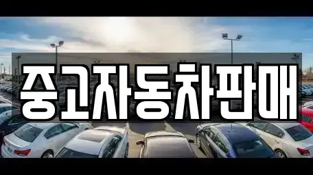 부산 동래구 중고차 전문 중고자동차판매