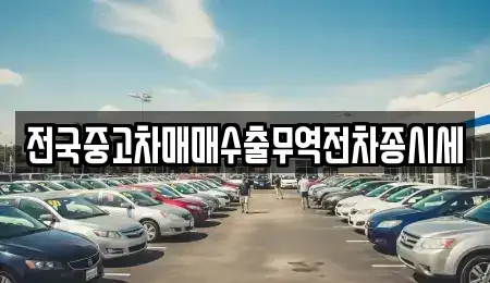 인천 중구 운북동 중고차 전문 전국중고차매매수출무역전차종시세
