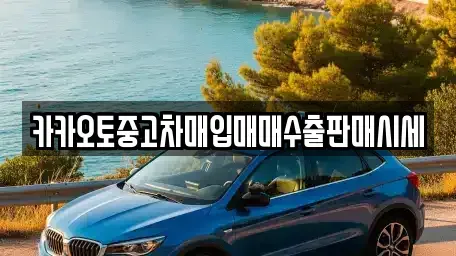 인천 중구 운북동 중고차매입 전문 카카오토중고차매입매매수출판매시세