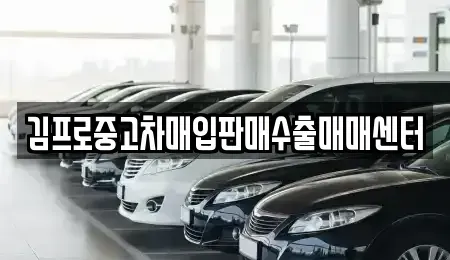 인천 중구 항동6가 중고차매입 전문 김프로중고차매입판매수출매매센터