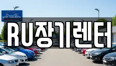 인천광역시 연수구 동춘동 장기렌트카 전문 RU장기렌터