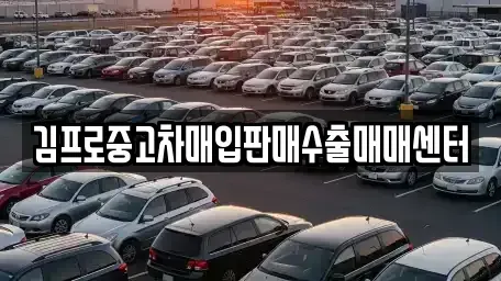 인천광역시 연수구 동춘동 중고차 전문 김프로중고차매입판매수출매매센터