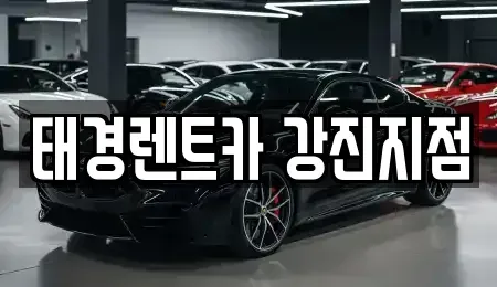 전라남도 강진군 도암면 렌트카,단기렌트카,장기렌트카,중고차,중고차매매,중고차매입