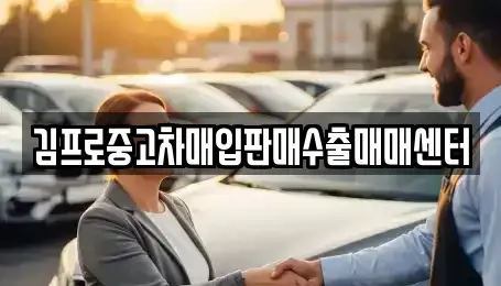 전라남도 나주시 청동 중고차 전문 김프로중고차매입판매수출매매센터