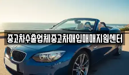 전라남도 나주시 청동 중고차매입 전문 중고차수출업체중고차매입매매지원센터